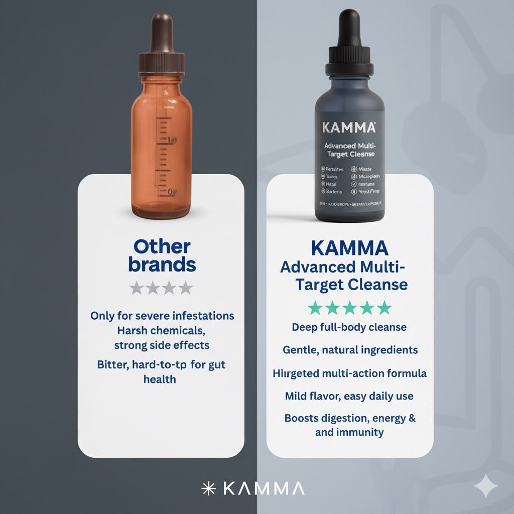 Kamma Cleanse
